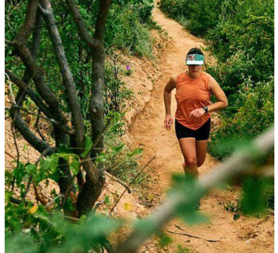 FSTVisor Dual SC - Janga