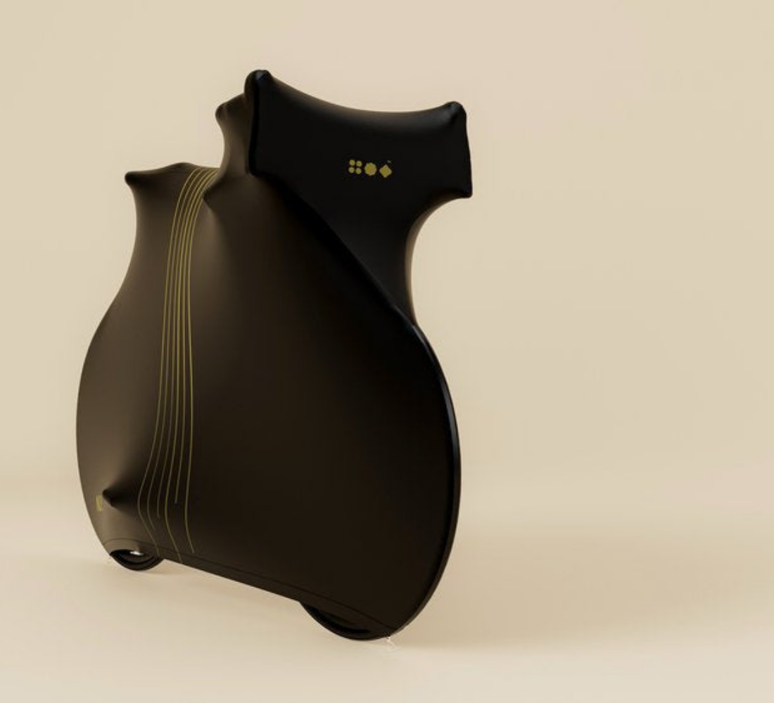 NX3 Bike Cover Paris Gold