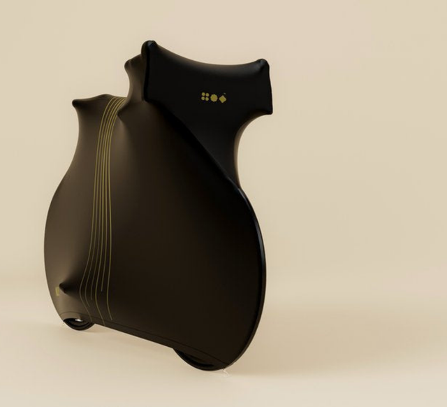 NX3 Bike Cover Paris Gold